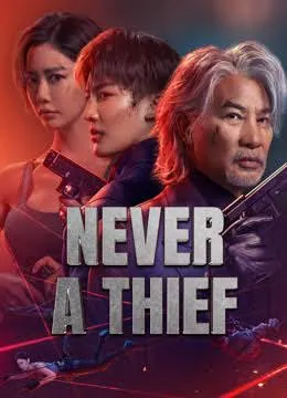 Never a Thief (2025) ทะลวงแผนโจร